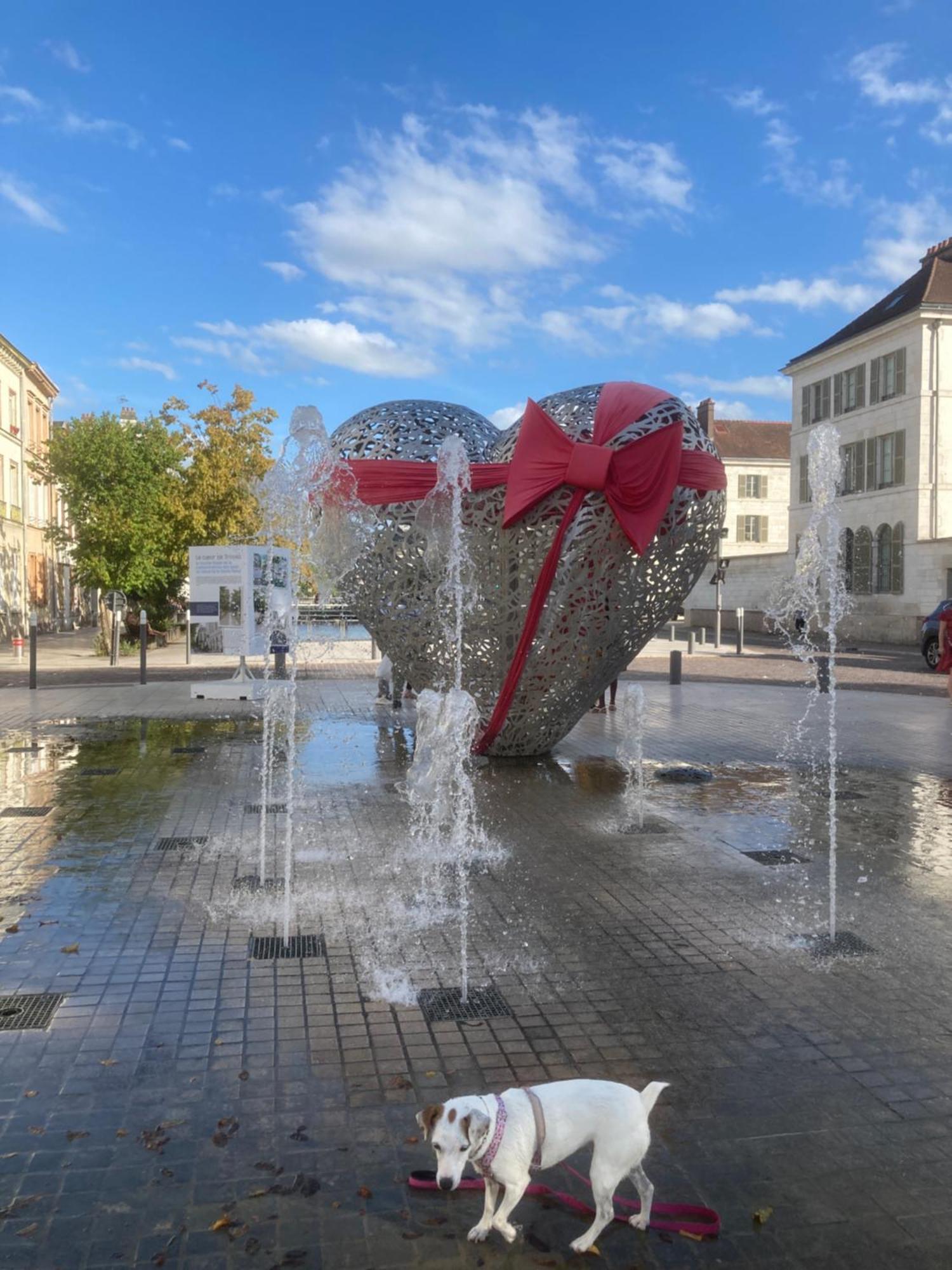 Papillons De Nuit Champagne Troyes Apartment ภายนอก รูปภาพ